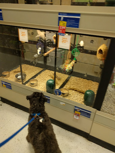 Pet Supply Store «PetSmart», reviews and photos, 5 Mystic View Rd, Everett, MA 02149, USA