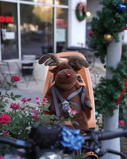 Motor Scooter Dealer «Electric Avenue Scooters», reviews and photos, 4616 Triangle Ave #403, Austin, TX 78751, USA