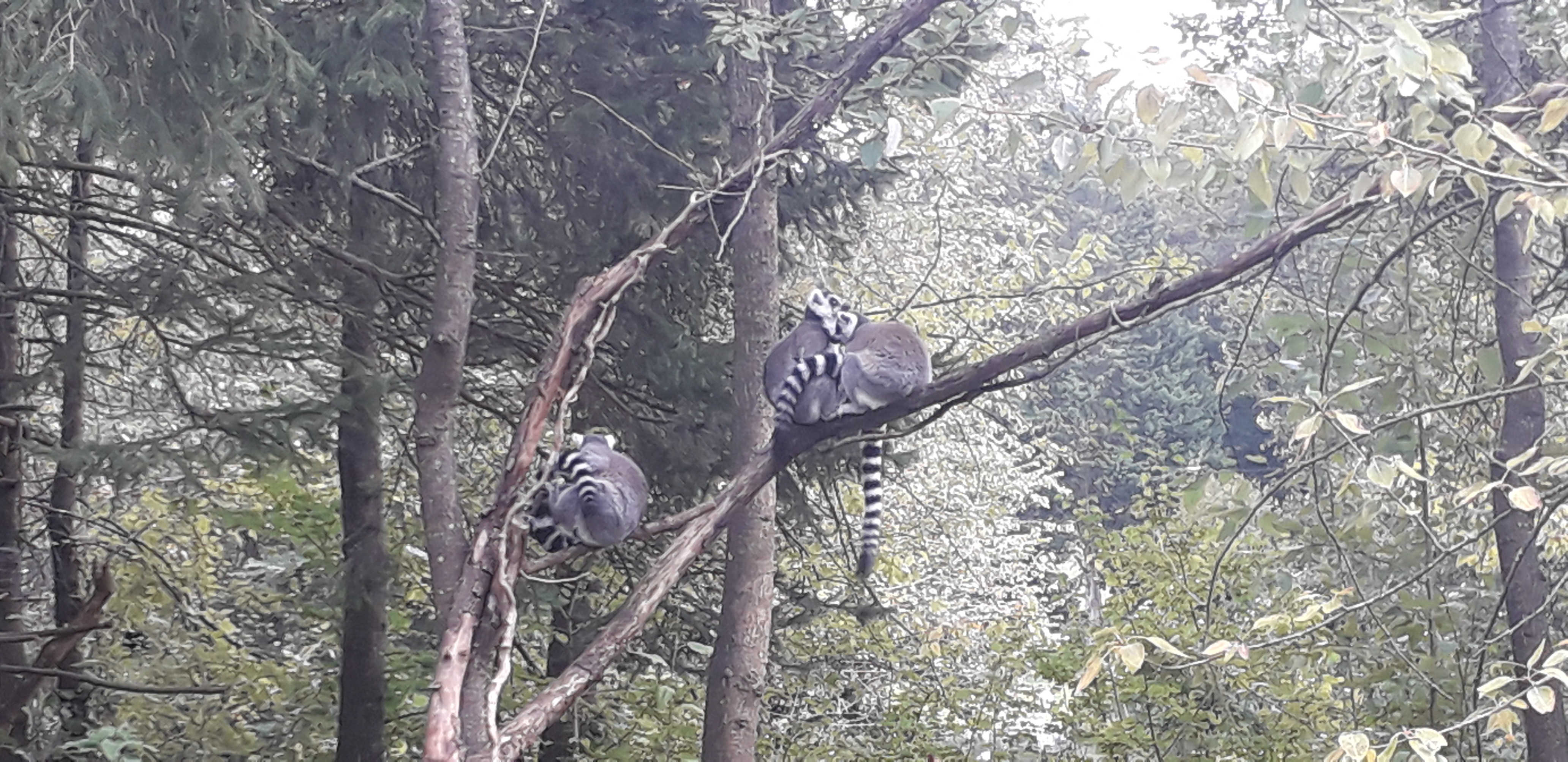 Photo n° 20 de l'avis de lilou.i fait le 19/09/2020 à 16:48