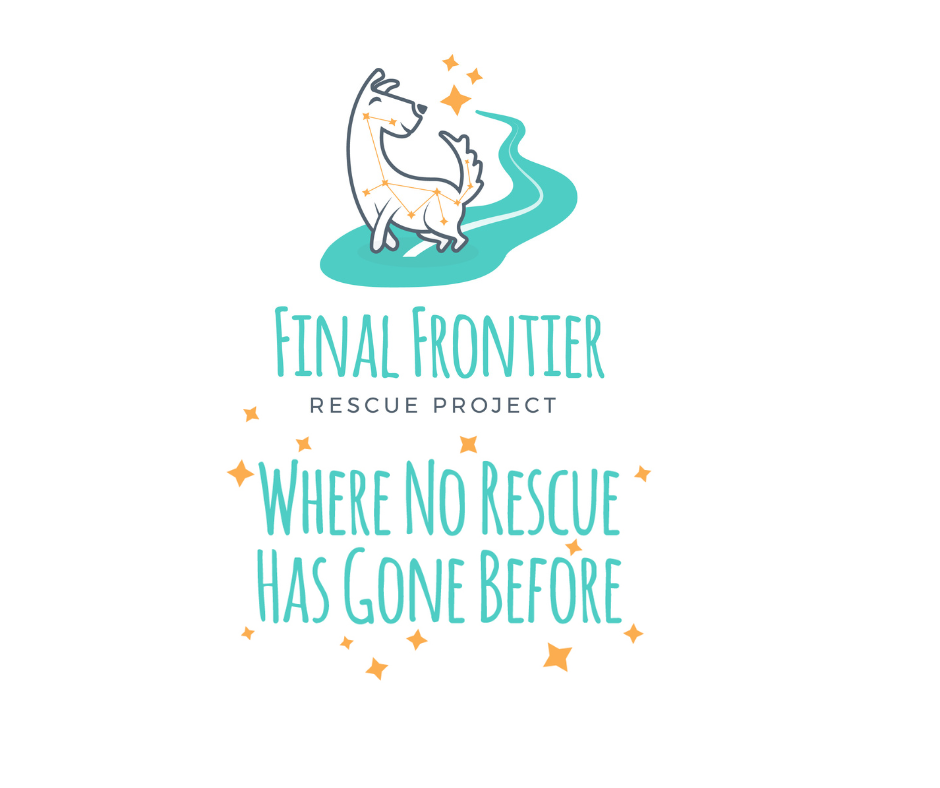 Final Frontier Rescue Project