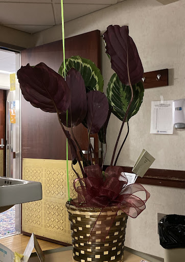 Florist «The Findery Floral and Gift», reviews and photos, 620 S 48th Ave, Yakima, WA 98908, USA