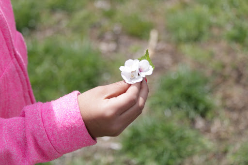 Memorial Park «Alvin P. Williams Memorial Park», reviews and photos, Port Reading Ave, Sewaren, NJ 07077, USA