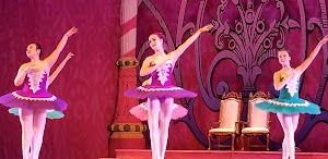 Stranahan Theater & Great Hall - photo 51