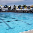 Academic Village Swim Pool