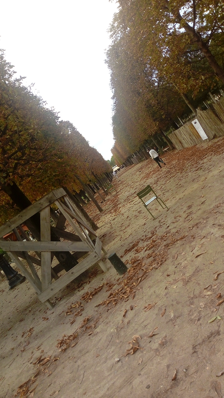 Photo n° 30 de l'avis de Delbart.e fait le 06/10/2019 à 13:25