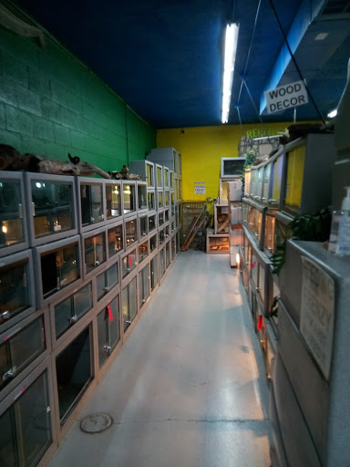 Pet Store «CUSTOM CREATURES PET SHOP», reviews and photos, 10727 N 19th Ave, Phoenix, AZ 85029, USA