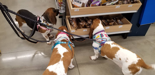 Pet Store «PetSmart», reviews and photos, 2211 Barrett Dr, Greenfield, IN 46140, USA