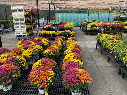 Department Store «Walmart Supercenter», reviews and photos, 350 Robert Smalls Pkwy, Beaufort, SC 29906, USA