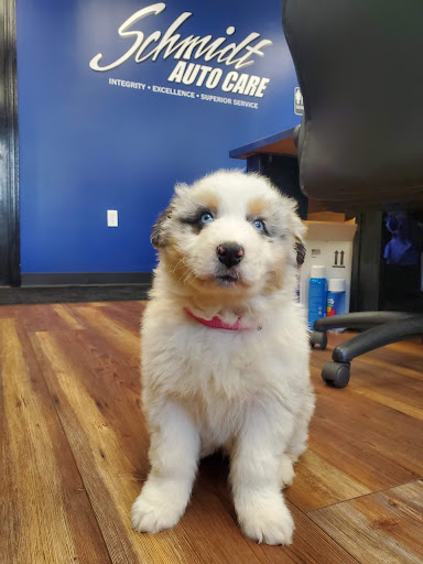 Auto Repair Shop «Schmidt Auto Care», reviews and photos, 817 W Central Ave, Springboro, OH 45066, USA
