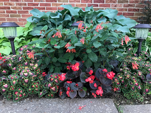 Florist «Parkview Gardens Florist & Greenhouse», reviews and photos, 1925 W Randolph St, St Charles, MO 63301, USA