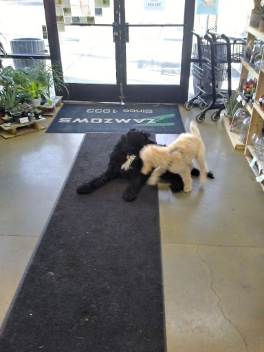 Pet Supply Store «Zamzows on Franklin Blvd», reviews and photos, 1201 Franklin Blvd, Nampa, ID 83687, USA