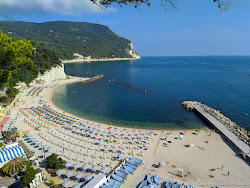 Urbani Plajı'in fotoğrafı geniş ile birlikte