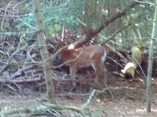 Golf Club «Pocasset Golf Club», reviews and photos, Club House Dr, Pocasset, MA 02559, USA