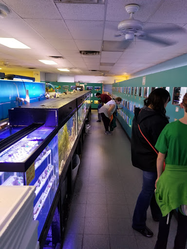 Tropical Fish Store «Monfort Aquarium & Pet», reviews and photos, 6520 Colerain Ave, Cincinnati, OH 45239, USA