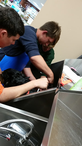 Pet Supply Store «Lemos Feed & Pet Supply», reviews and photos, 1320 Main St, Morro Bay, CA 93442, USA