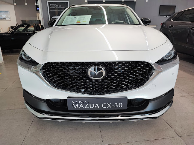 Opinii despre Mazda Orléans - Hera Autos în Fleury-les-Aubrais - Concessionnaire