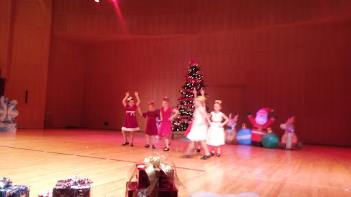 Performing Arts Theater «DeYor Performing Arts Center», reviews and photos, 260 W Federal St, Youngstown, OH 44503, USA