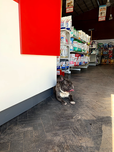Pet stores Cordoba