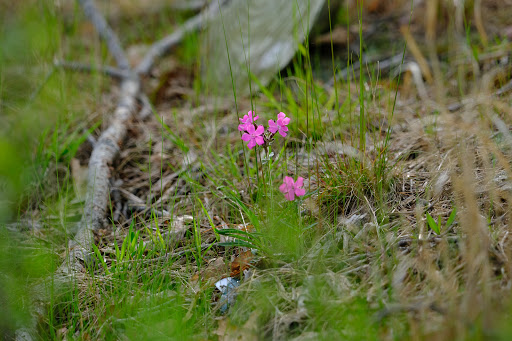 Golf Club «Rye Golf Club», reviews and photos, 330 Boston Post Rd, Rye, NY 10580, USA