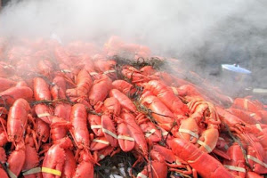 Pine Point Lobster Bakes