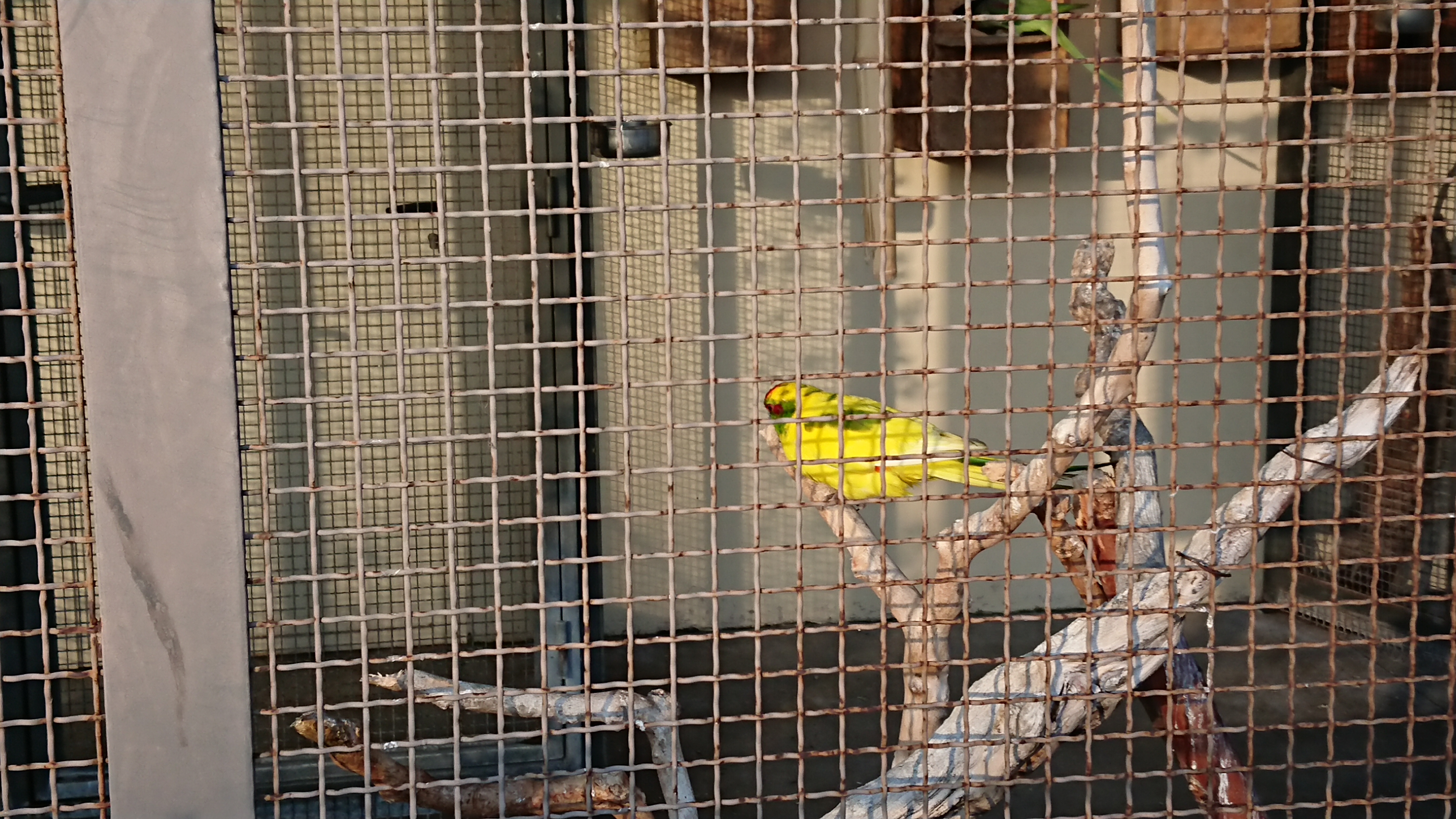 Photo n° 2 de l'avis de Martine.e fait le 06/03/2018 à 18:47