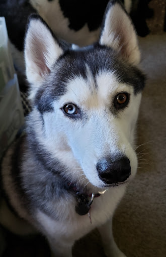 Pet Store «Teske Pet & Garden», reviews and photos, 2423 16th St, Moline, IL 61265, USA