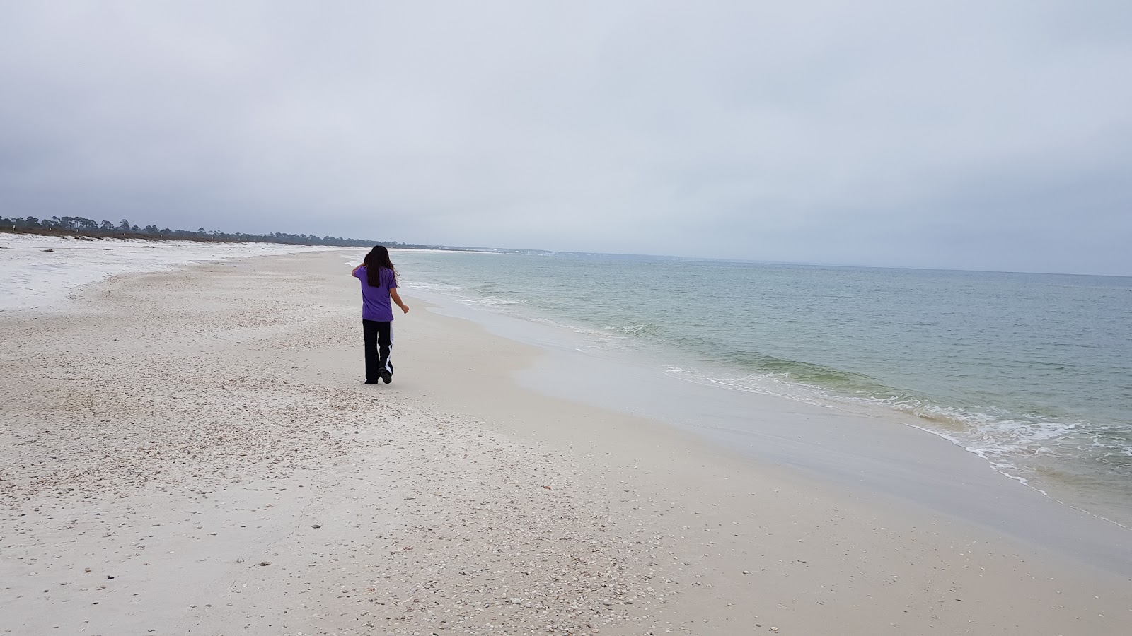 Photo of Crooked Island Beach wild area