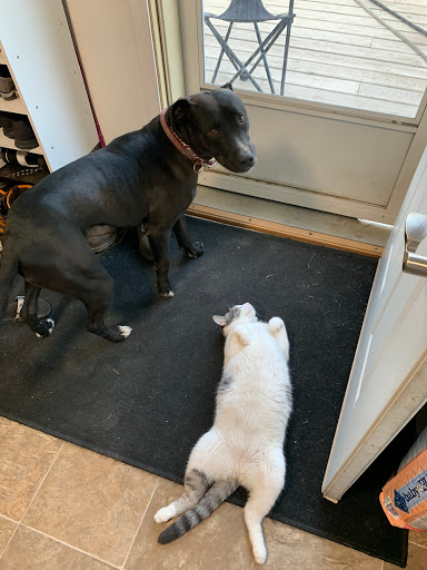 Pet Supply Store «Petco Animal Supplies», reviews and photos, 3212 16th St SW, Minot, ND 58702, USA