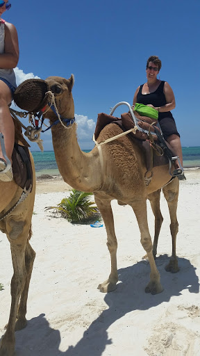 Travel Agency «Travel Services of Yorkville», reviews and photos, 801 N Bridge St, Yorkville, IL 60560, USA