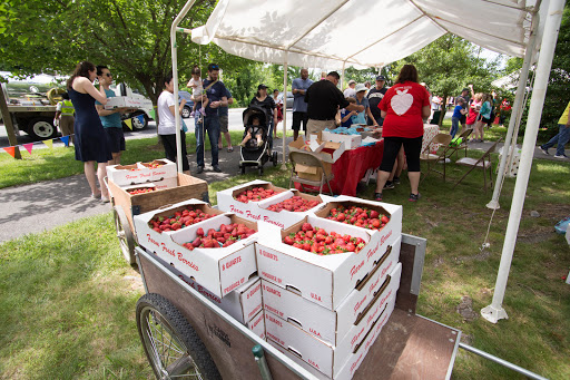 Art Museum «Sandy Spring Museum», reviews and photos, 17901 Bentley Rd, Sandy Spring, MD 20860, USA