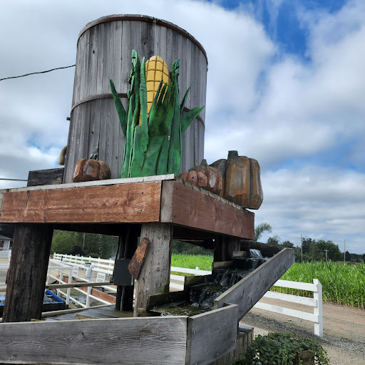 Amusement Center «Maris Farms», reviews and photos, 25001 Sumner Buckley Hwy, Buckley, WA 98321, USA