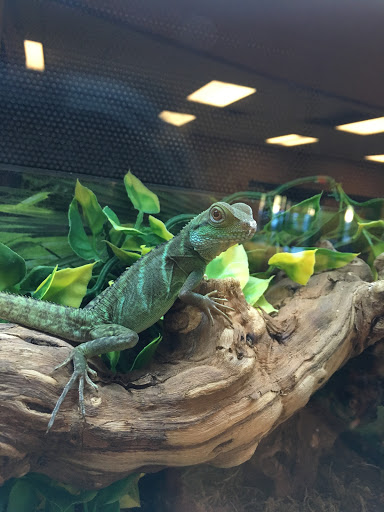 Pet Supply Store «PetSmart», reviews and photos, 1800 Evans Rd, Melbourne, FL 32904, USA