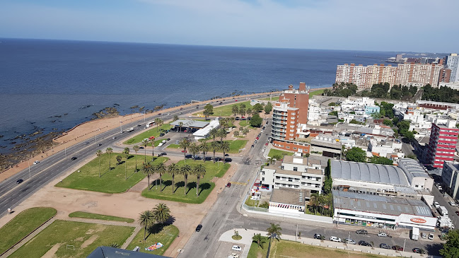 Teléfono de Cancha de Baby Fútbol club Enrique López