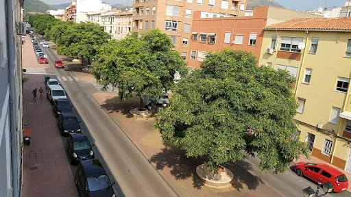 Clínica Veterinaria Sud Oest en Vall D'Uixó ( La )