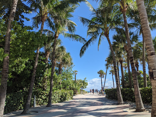Park «Collins Park», reviews and photos, 2100 Collins Ave, Miami Beach, FL 33140, USA