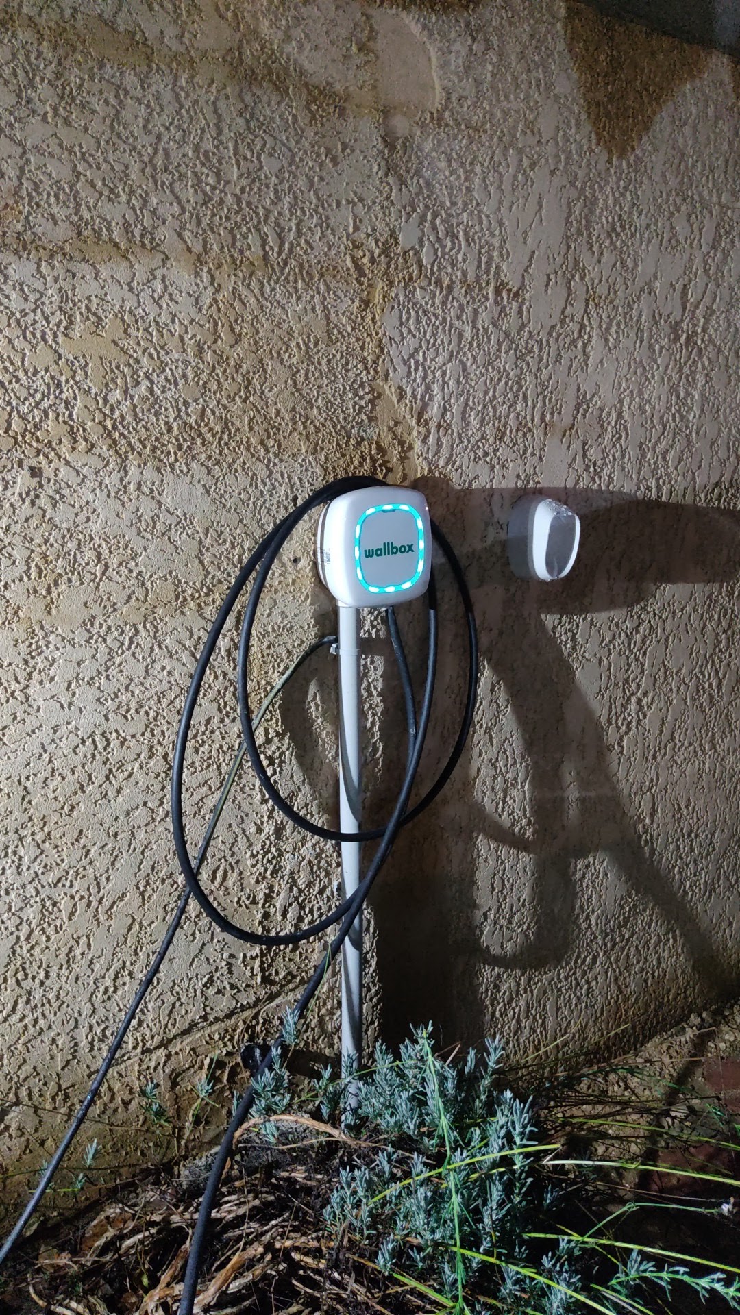 Photo n° 3 de l'avis de cyrille.o fait le 25/11/2021 à 17:02