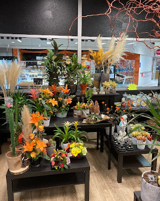 MS FLEURS à Orange