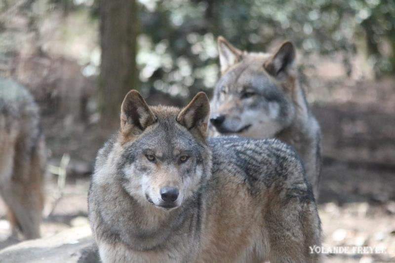 Photo n° 10 de l'avis de yolande.r fait le 24/10/2023 à 19:03