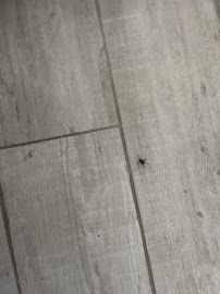 Kellogg Pest Control - Photo 3 - Car repair in , Stockton