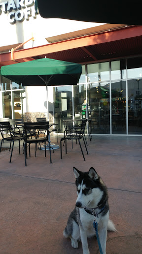 Coffee Shop «Starbucks», reviews and photos, 4930 Dublin Blvd #500, Dublin, CA 94568, USA