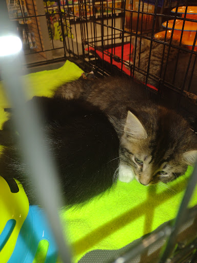 Pet Supply Store «PetSmart», reviews and photos, 4550 W Lake Mary Blvd, Lake Mary, FL 32746, USA