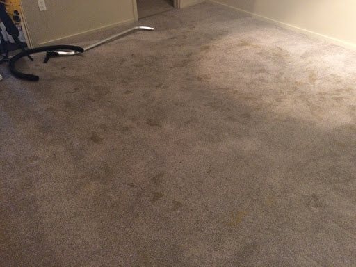 Oxi Fresh Carpet Cleaning