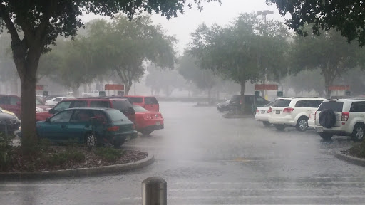 Grocery Store «Winn-Dixie», reviews and photos, 1202 W Main St, Inverness, FL 34450, USA