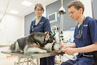 Best Veterinary Clinics 24 Hours Belfast Near You