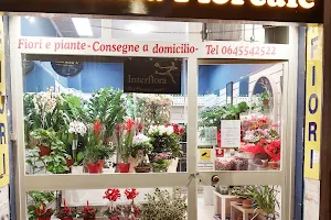 Fantasia Floreale - affiliato Interflora - Consegne a domicilio image