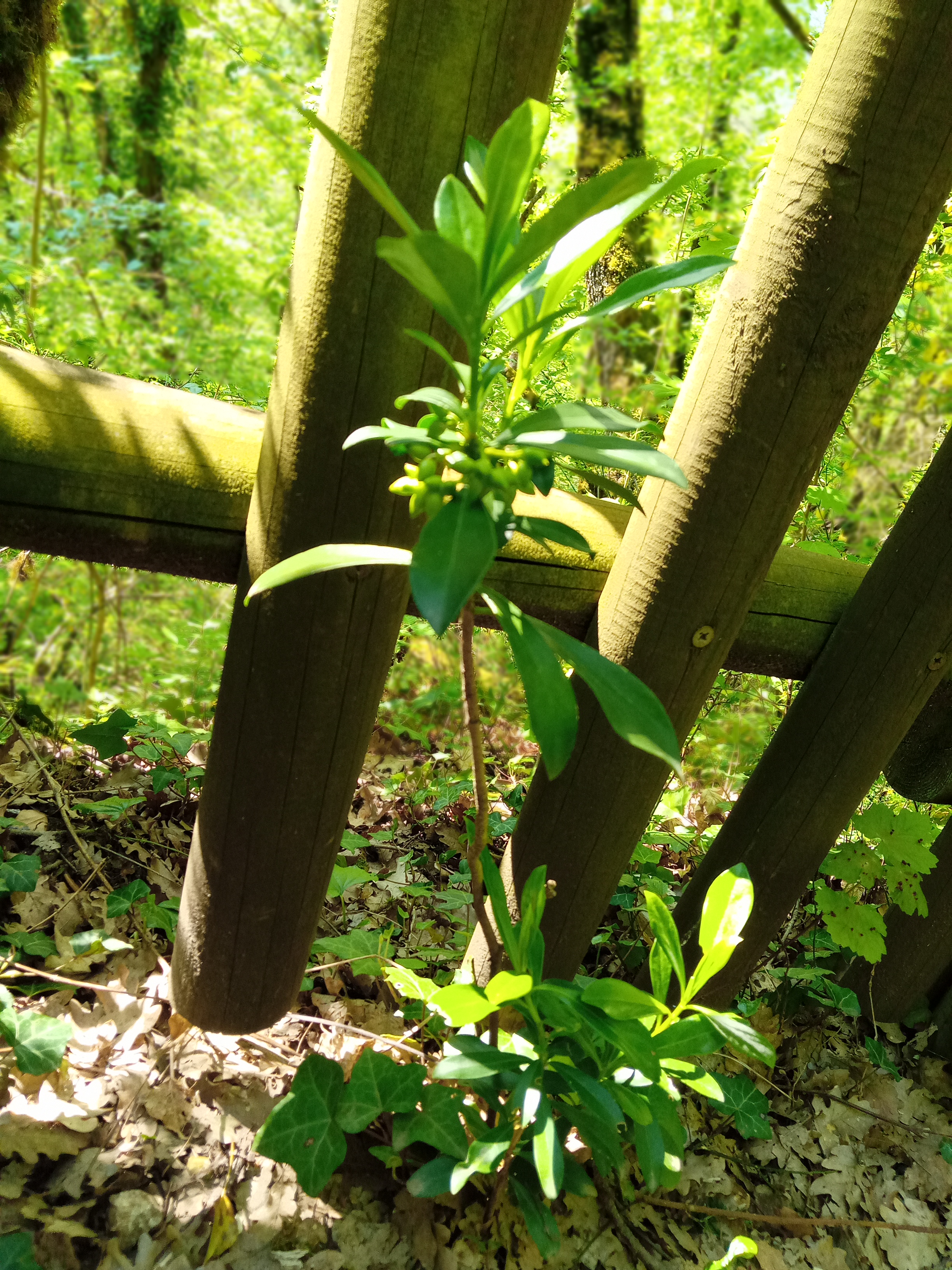 Photo n° 11 de l'avis de Sandrine.e fait le 03/04/2019 à 13:52