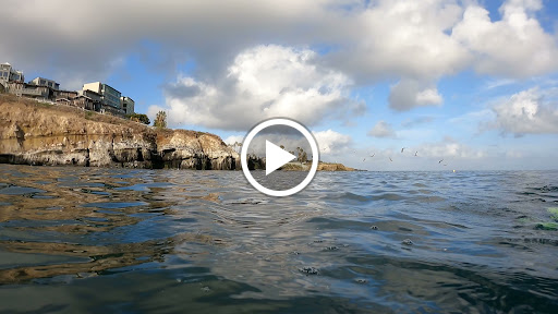 Sporting Goods Store «La Jolla Swim and Sport», reviews and photos, 1008 Torrey Pines Rd, La Jolla, CA 92037, USA