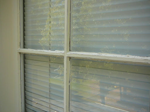 Painter «The Painting Company», reviews and photos, 210 W Crossville Rd, Roswell, GA 30075, USA