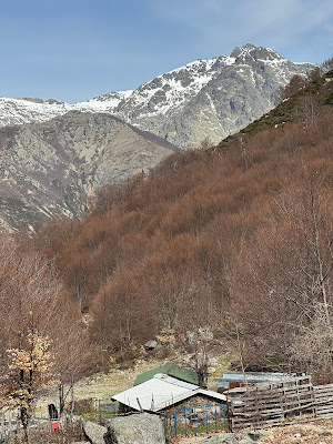 Bergeries de Capiaghja - Mandriale di Capiaghja à Bocognano