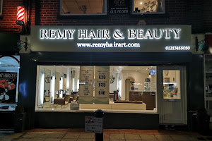 Remy Hair Art